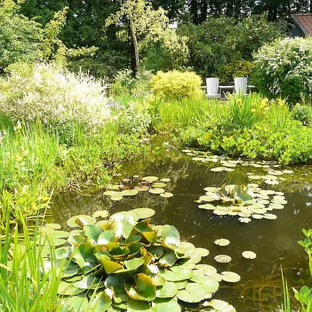 Vakantiehuis Krullevaar Heerde