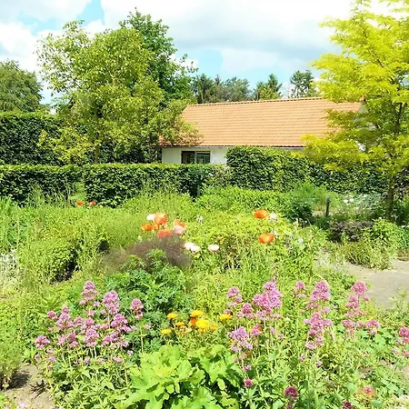 Vakantiehuis Krullevaar